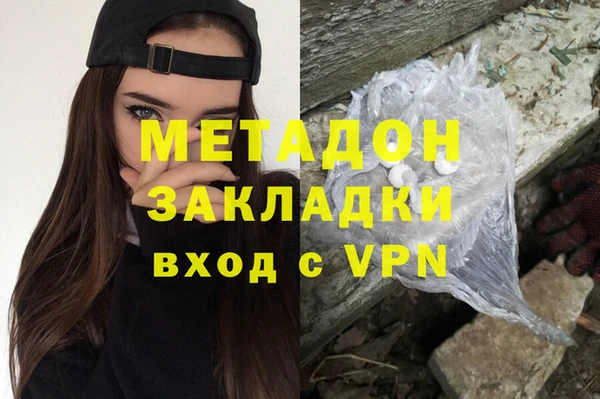 гидра Няндома