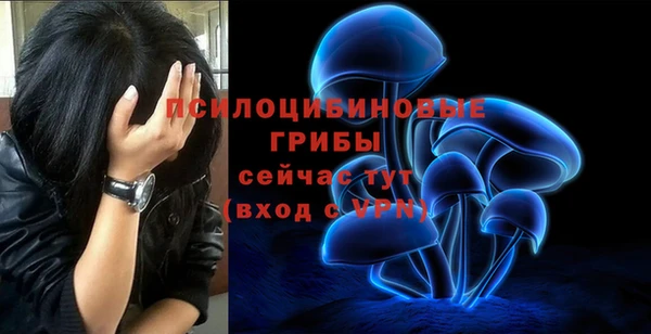 дурь Алексеевка