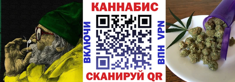 где найти наркотики  Сортавала  Бошки Шишки сатива 